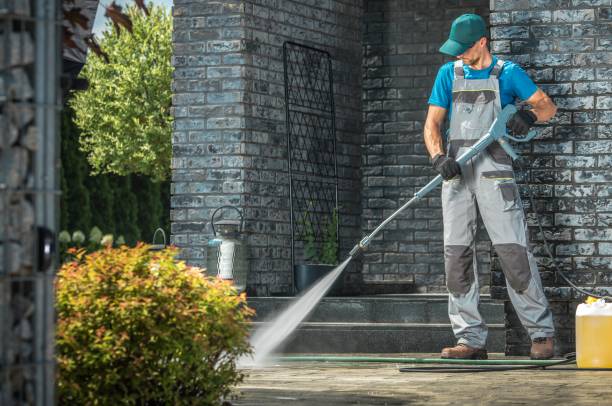 Best Paint Preparation  in Reinbeck, IA